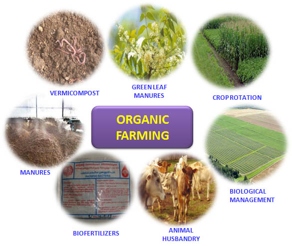 Key characteristics of organic farming