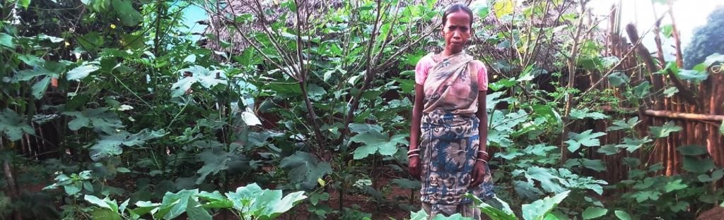 Tribals in Nagada suffer from severe malnutrition, other health issues. A -tribal -woman- in- Nagada- stands -next -to -her -nutrition -garden