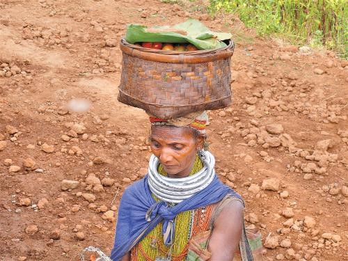 This Odisha tribe grows 20 crop varieties without jeopardising biodiversity 