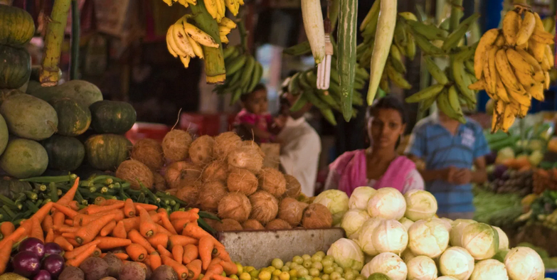 Agro biodiversity Initiatives Open Tribal Women’s Horizons