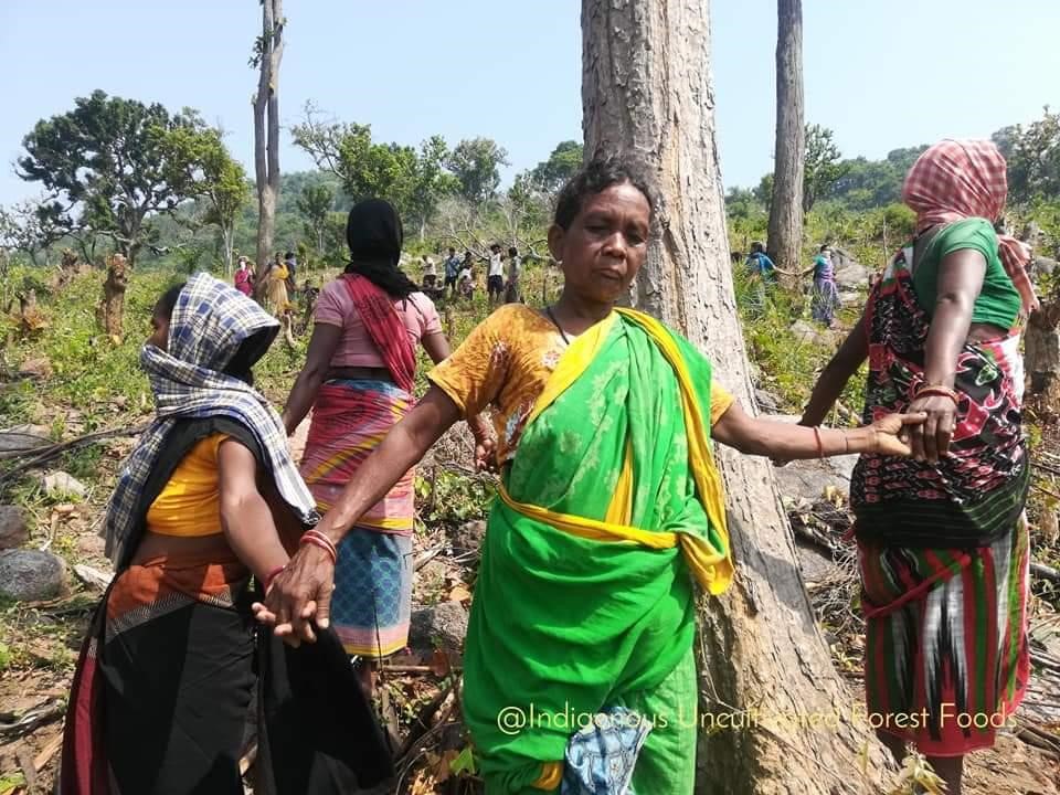 Odisha's-Tribal-Communities-Are-Reeling-Under- a -Land-Grab -Project-Masquerading-as -Afforestation'-anthropology-upsc-vishnu-ias