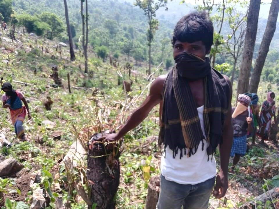 Odisha's-Tribal-Communities-Are-Reeling-Under- a -Land-Grab -Project-Masquerading-as -Afforestation'-anthropology-upsc-vishnu-ias