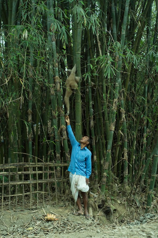 Meghalaya-Indigenous-Tribals-Holds-Key-To-Protect-Endangered-Species-anthropology-upsc-vishnu-ias