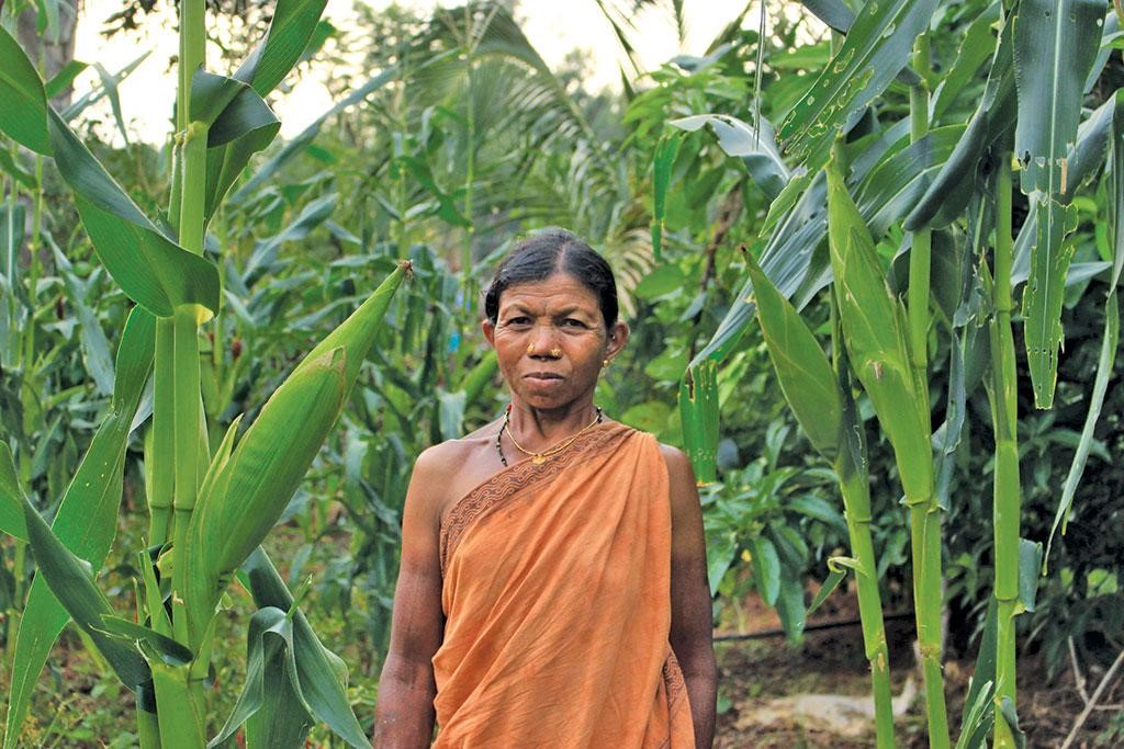 This Odisha tribe grows 20 crop varieties without jeopardising biodiversity 