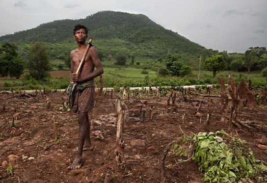 Dongria-Tribe-Of-Niyamgiri-Revive-Climate-Resilient-Heirloom-Seeds-anthropology-upsc-vishnu-ias