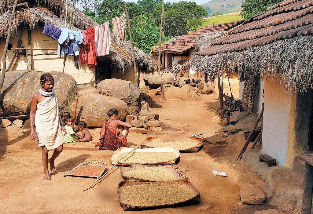 This Odisha tribe grows 20 crop varieties without jeopardising biodiversity 