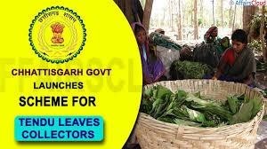 Chhattisgarh-Govt-Launches-Schemes-For-Tendu-Leaves,-Cow-Dung-Collectors-upsc-anthropology-vishnuias