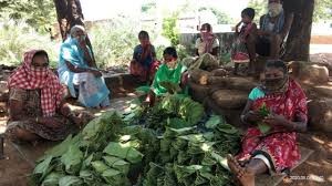 How-COVID-19-made-forest-rights-battle-tough-for-Tharu-women-upsc-anthropology-vishnuias