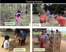 How-Tribals-Are-Making-Eco-Friendly-&-Cheap-Furniture-Using-Weed-upsc-anthropology-vishnu-ias