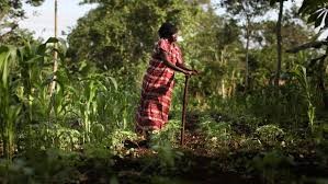 Involving-indigenous-people-in-environmental-governance-the-Sixth-upsc-anthropology-vishnu-ias