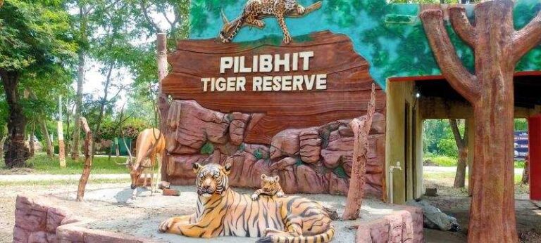 tiger safari uttar pradesh