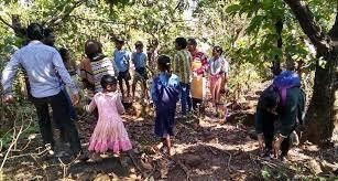 Schooling Karnataka's tribal students to be guardians of forests - Best ...