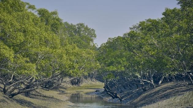 Sundarbans-upsc-vishnu-ias