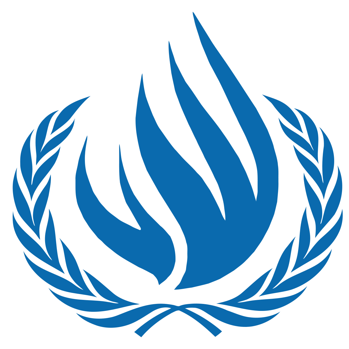 un-human-rights-council-best-upsc-coaching-centre-in-hyderabad