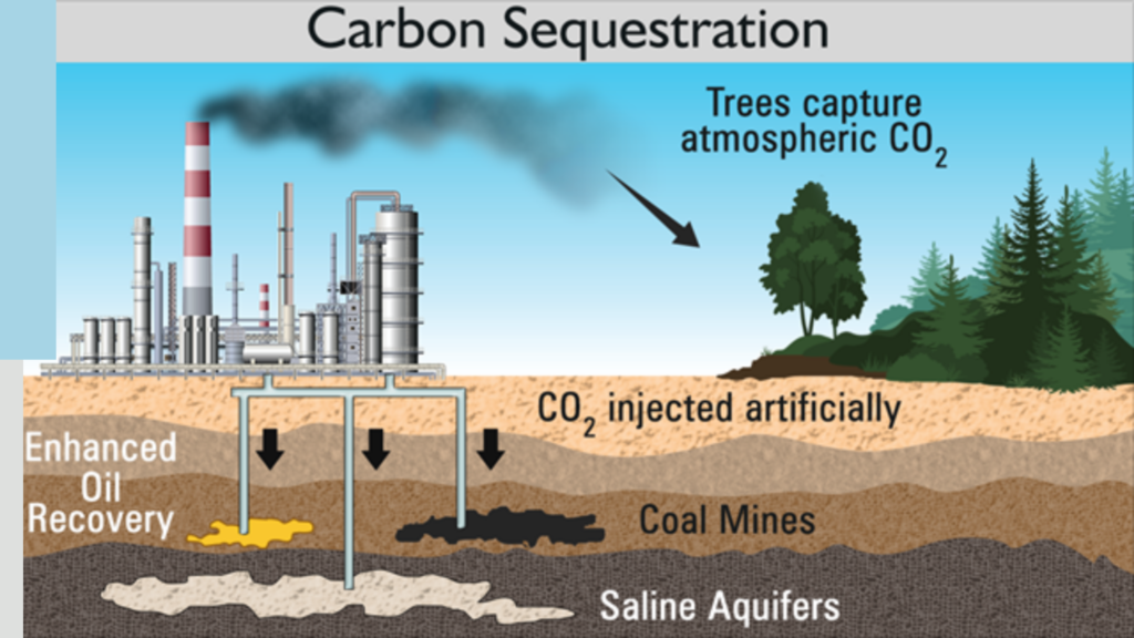 examples of carbon sequestration