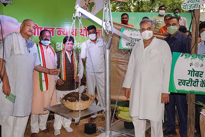 Chhattisgarh Govt Launches Schemes For Tendu Leaves, Cow Dung Collectors