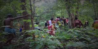 In India, forest rights means forest conservation