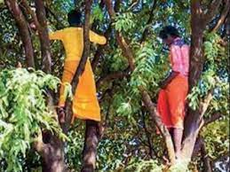 Tribal men climb trees to avoid COVID-19 jabs-anthropology-vishnu ias