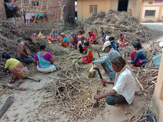  Van Dhan Kendras in Maharashtra: Helping Transform Lives and Livelihoods-anthropology-vishnu ias