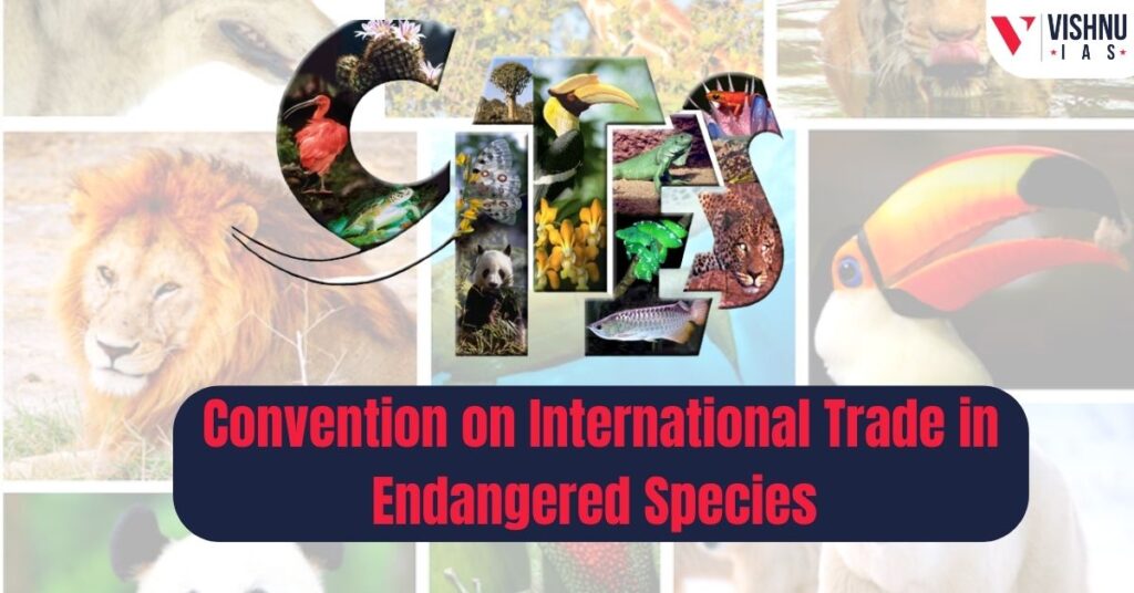 Convention on International Trade in Endangered Species CITES