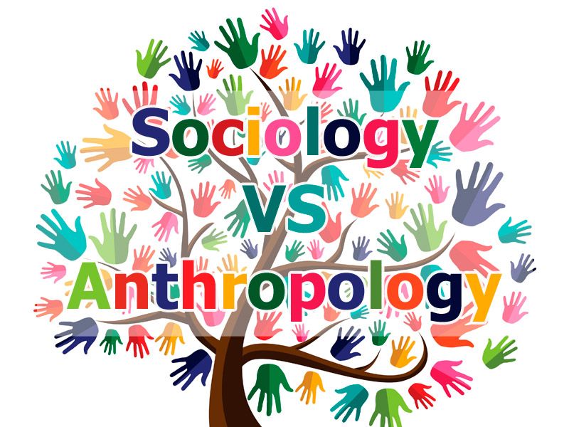 Difference between sociology and anthropology