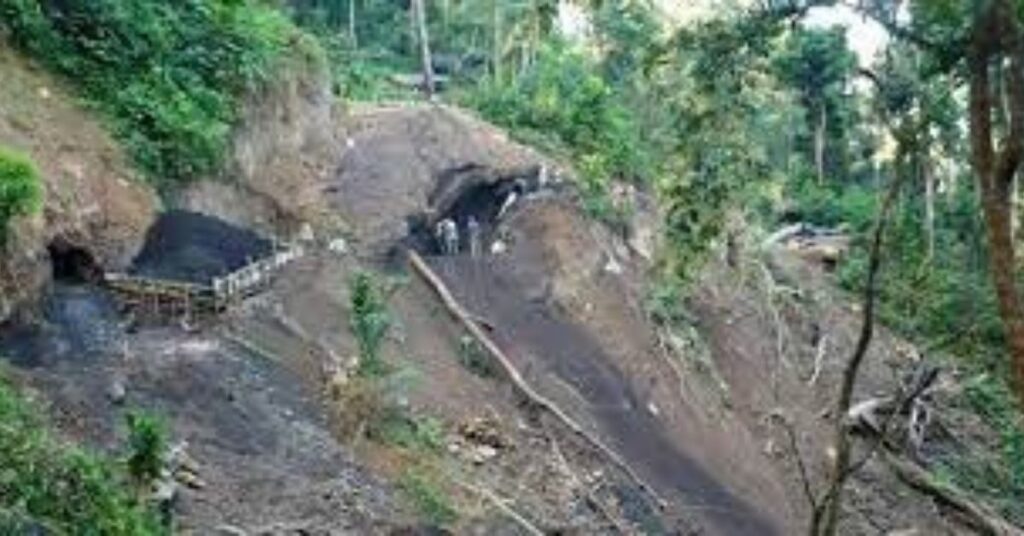 Annul diversion of green patch near “Amazon of Assam” for coal mining project