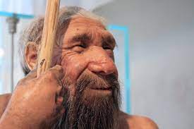 A-Leading-Theory-Behind-Neanderthal-Extinction-May-Surprise-You-anthropology-snippet-vishnuias