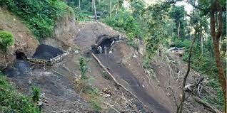 Annul-diversion-of-green-patch-near “Amazon-of-Assam” for-coal-mining-project-anthropology-snippet-vishnuias