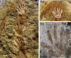 Archaeologists-Discover-200,000-Year-Old-Hand-&-Footprints-That-Could-Be-the-World’s-Earliest-Cave-Art-anthropology-snippet-vishnu-ias