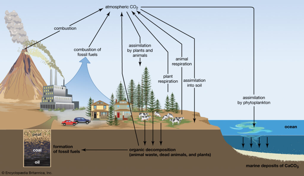 Carbon-Sequestration-current-affairs-vishnuias