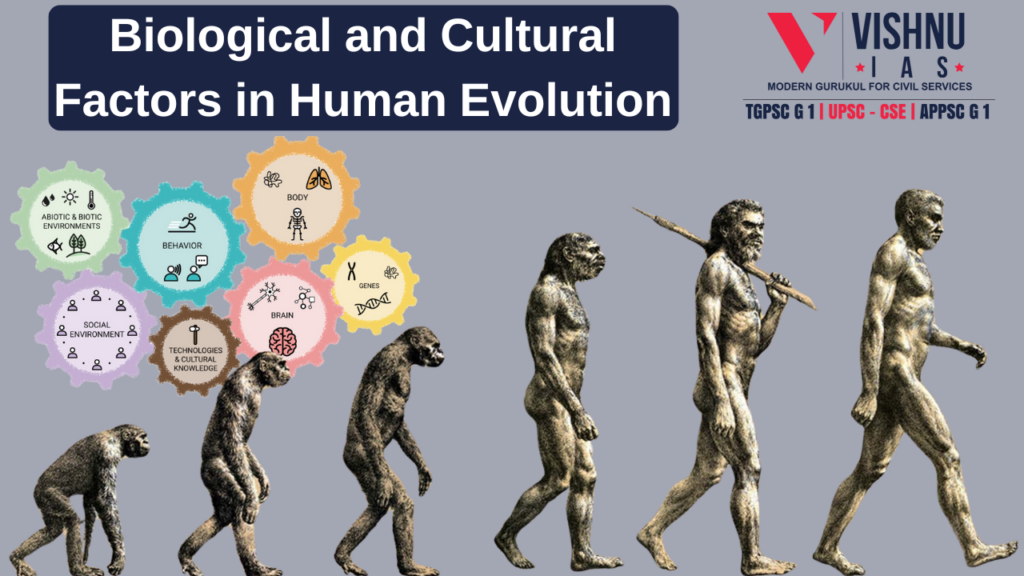 Biological and Cultural Factors in Human Evolution