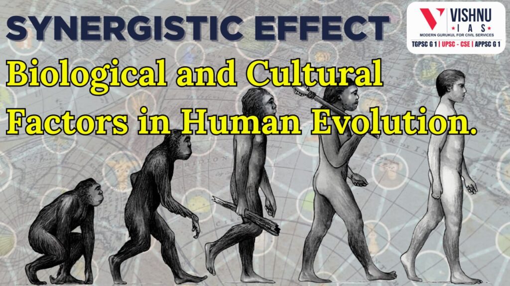 Biological and Cultural Factors in Human Evolution