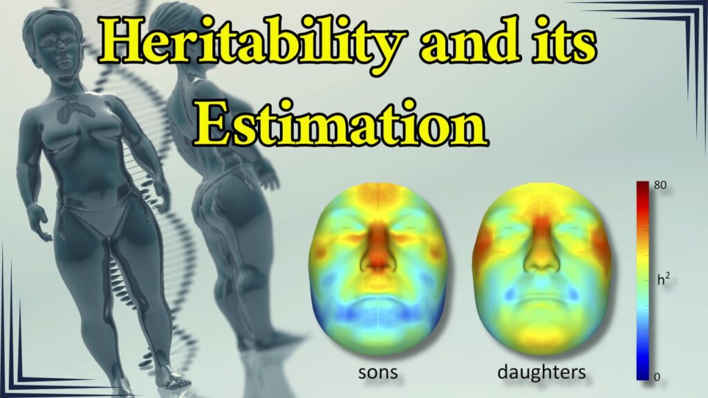 Heritability and its estimation