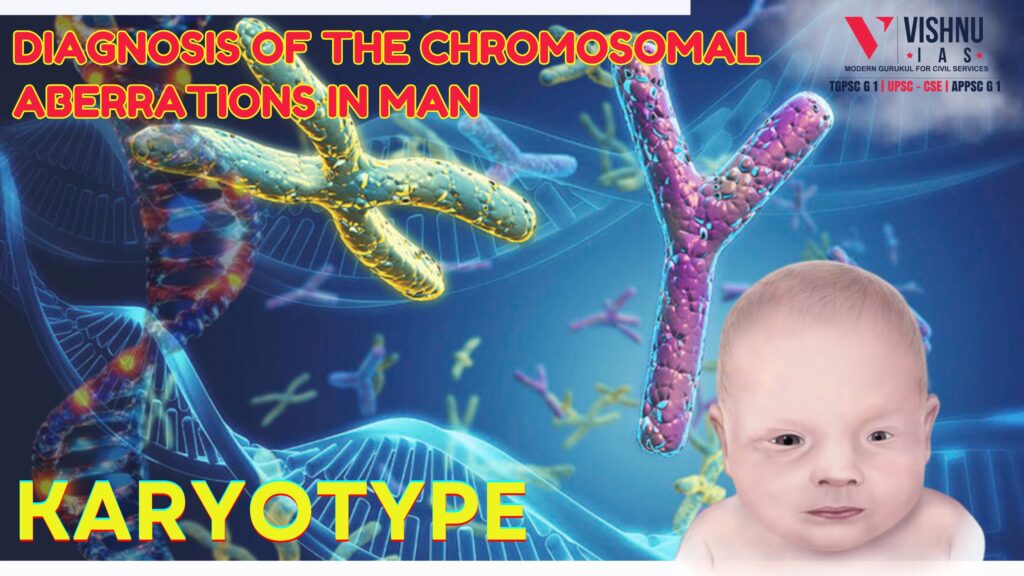 What is meant by karyotype