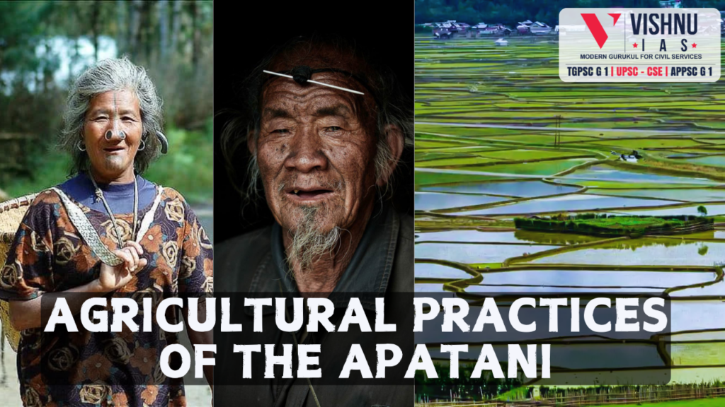 Agricultural Practices of the Apatani